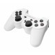 Gamepad Esperanza EGG106W Corsair biało-czarny PS2/PS3/PC USB